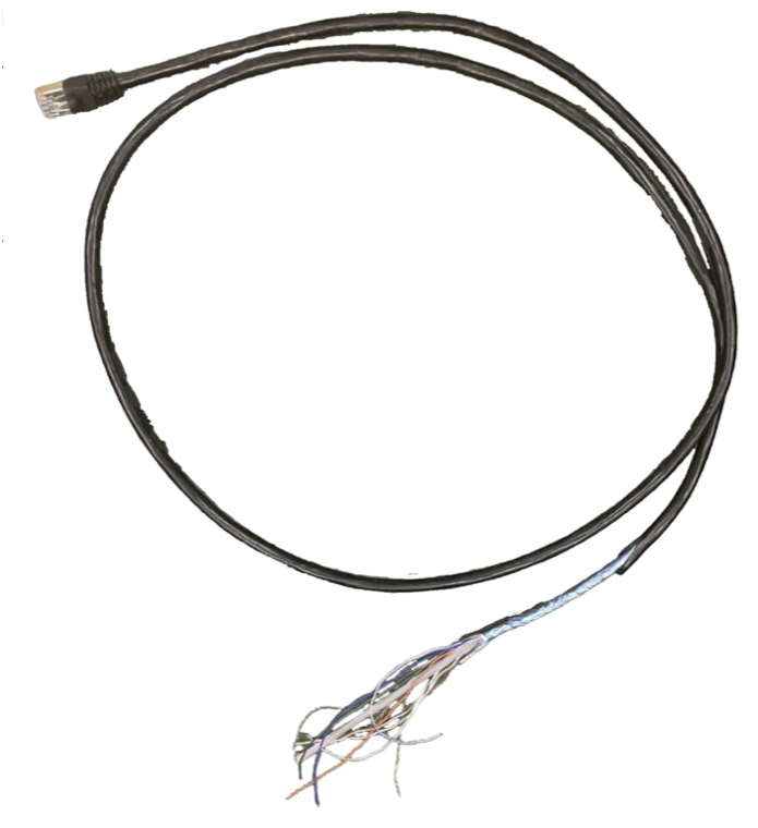Patch cable cut in half: RJ45 plug on one end, eight bare conductors on the other